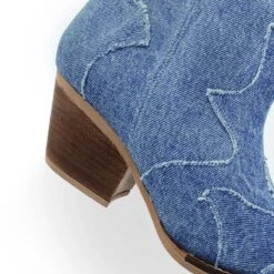 BAILEY 60 - Denim Regina Romero Zapato Bota Botin Tacon Bajo Para Dama 17 BAILEY 60 - Denim Regina Romero Zapato Bota Botin Tacon Bajo Para Dama -Reginaromero Regina Romero bota botin Bailey mezclilla denim 5